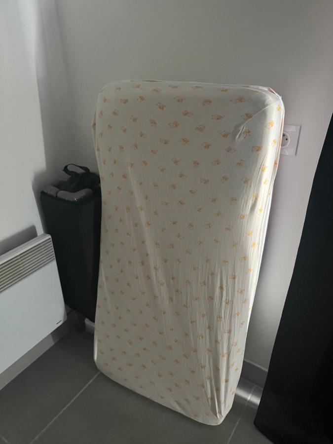 Charmant Appartement Climatise Quartier Las Cobas Perpignan Eksteriør billede